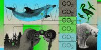 How a Citizen Science Organization Aims to Preserve the Places It Brings Tourists to Study