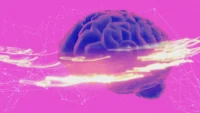 Scientists Just Discovered a Brain ‘Switch’ That Could Turn Off Anxiety: What It Means