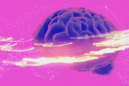 Scientists Just Discovered a Brain ‘Switch’ That Could Turn Off Anxiety: What It Means