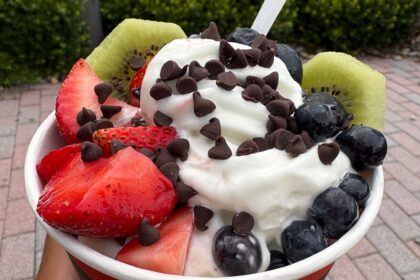 I Asked 2 Nutritionists If Frozen Yogurt Is Actually Healthier Than Ice Cream — Here’s What They Agreed On