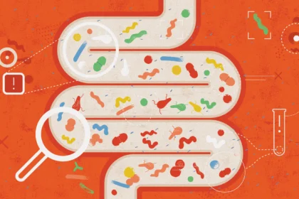 Is Your Gut Aging Your Entire Body? This New Study Explains How