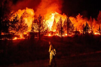 Wildfires are more extreme in Europe and North America, but decreasing globally. Here’s why