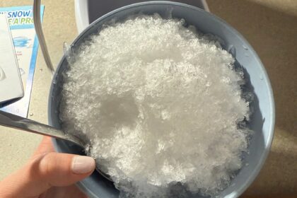 I Tried 2 Popular Shaved Ice Makers, and the Best One Is Also the Cheapest