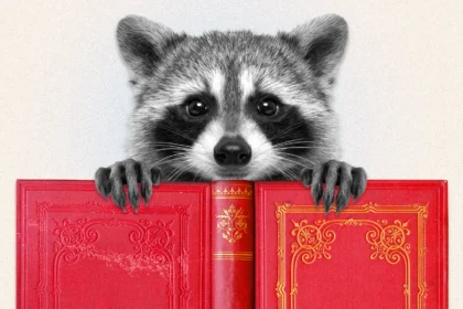 The Real Lesson of Jimothy the Raccoon, According to Psychologists: We Are Starving for Nature 