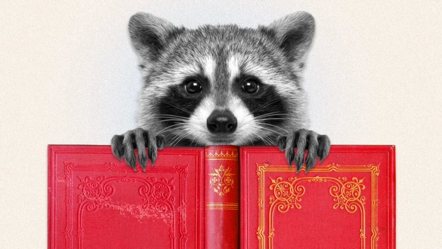 The Real Lesson of Jimothy the Raccoon, According to Psychologists: We Are Starving for Nature 