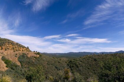You Have Until Friday to Weigh In on a Major Federal Wilderness Review